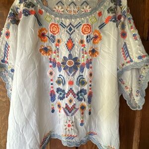 Gorgeous Blouse with Colorful Embroidery